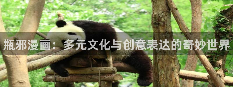 漫蛙阅读