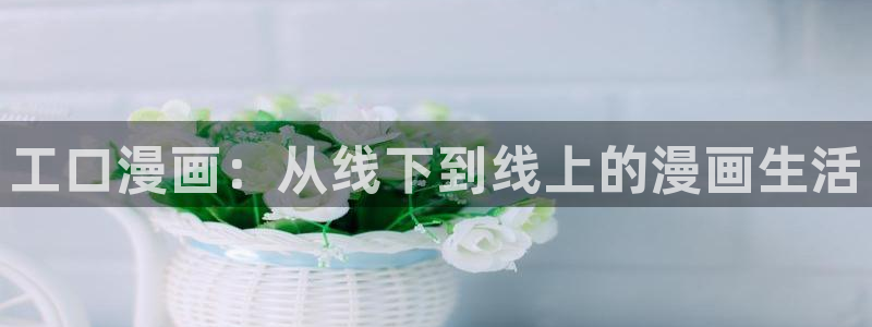 漫蛙2最新版
