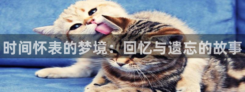 漫蛙2正版