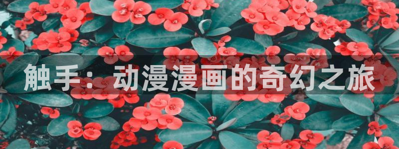 下载漫蛙