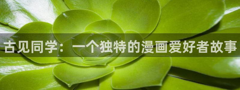 漫蛙新链接