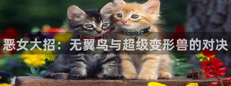 www.漫蛙com