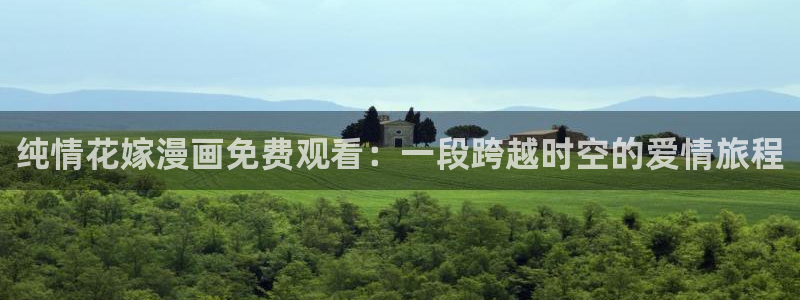 漫蛙纯净