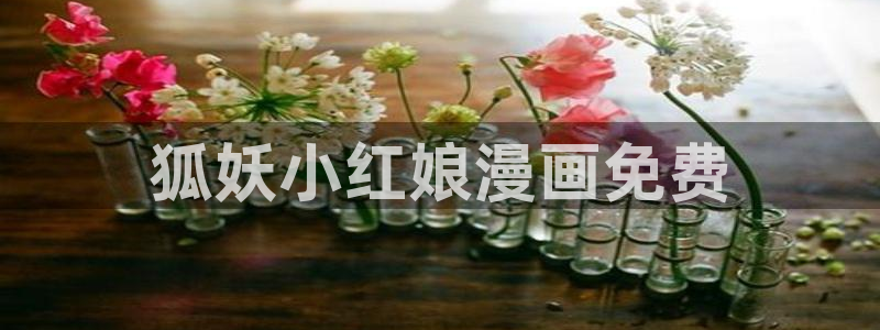 漫蛙cloud