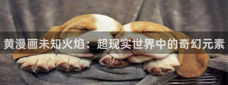 漫蛙哦
