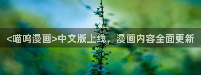 漫蛙漫画网