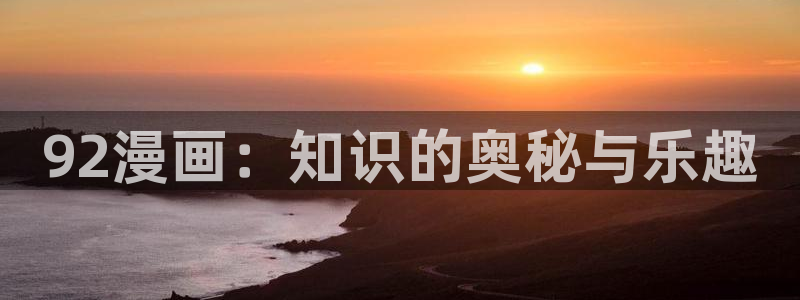 漫蛙专注