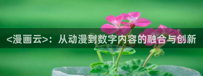 漫蛙manwa漫画官网网址