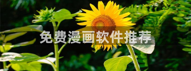 漫蛙app官网下载