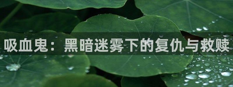 www.漫蛙漫画,top