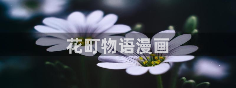 漫蛙官网网页版：花町物语漫画