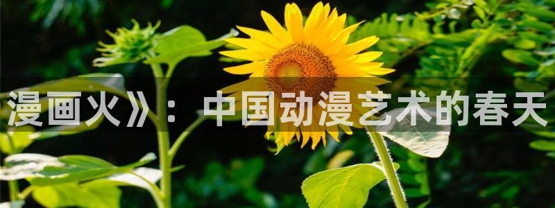 漫蛙宝贝：漫画火》：中国动漫艺术的春天