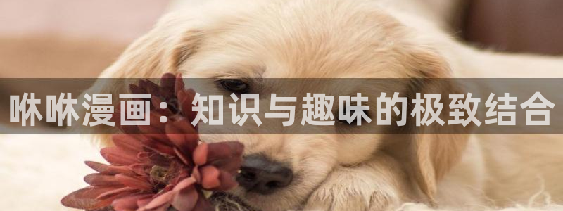 漫蛙要vip吗：咻咻漫画：知识与趣味的极致结合