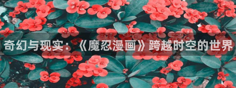 漫蛙漫画免费版在线阅读：奇幻与现实：《魔忍漫画》跨越时空的世界