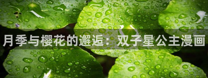 漫蛙2安装包：月季与樱花的邂逅：双子星公主漫画