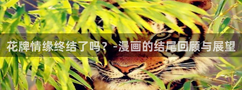 漫蛙2台版免费下载：花牌情缘终结了吗？-漫画的结尾回顾与展望