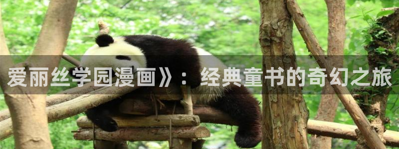 台漫colossal漫蛙：爱丽丝学园漫画》：经典童书的奇幻之旅