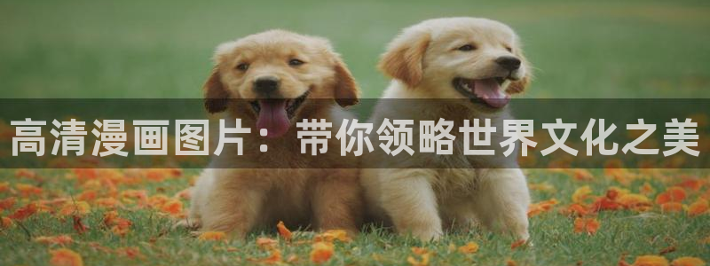 漫蛙manwa防走失站漫画链接：高清漫画图片：带你领略世界文化之美